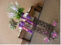 DSCN3176.JPG