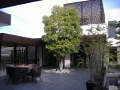 DSCF1666.JPG